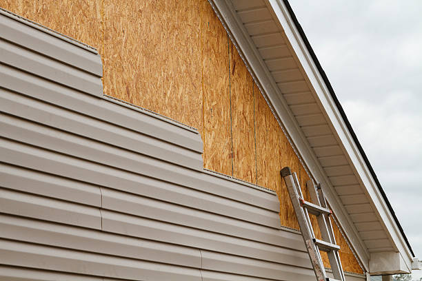Professional Siding Repair technician working in Elgin, TX
